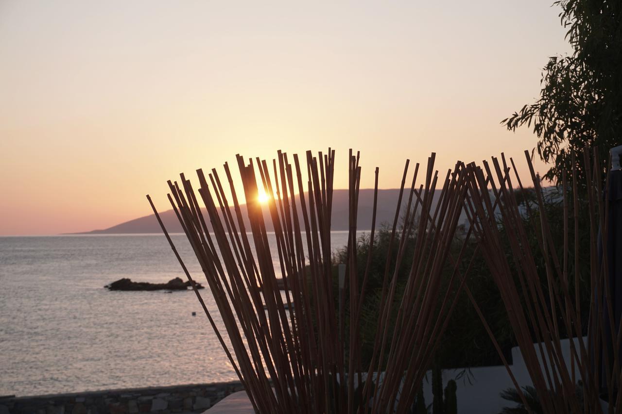 Pyrthea Houses Koufonisia Exteriér fotografie
